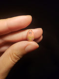 Patrick easter egg pearl